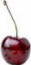 cherry absolute oil
